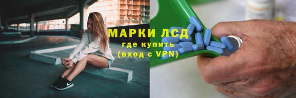 прущие грибы Балабаново