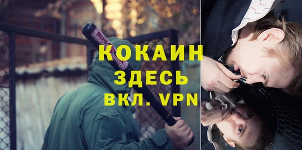 прущие грибы Балабаново