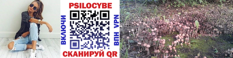 Псилоцибиновые грибы Psilocybe  Туймазы 